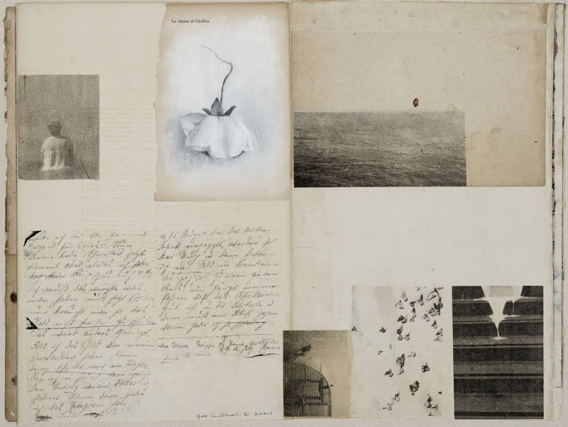 The Art of the Book | Seager Gray Gallery