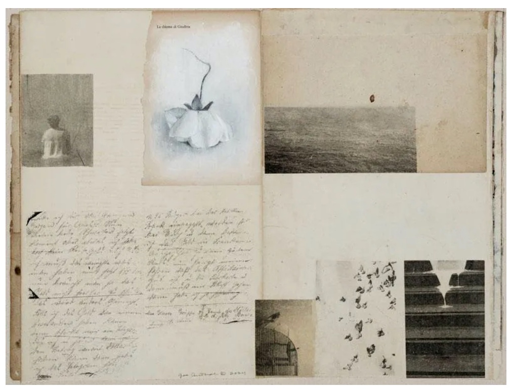 TURNING THE PAGE-NANCY TOOMEY GALLERY June 5 to August 4, 2025